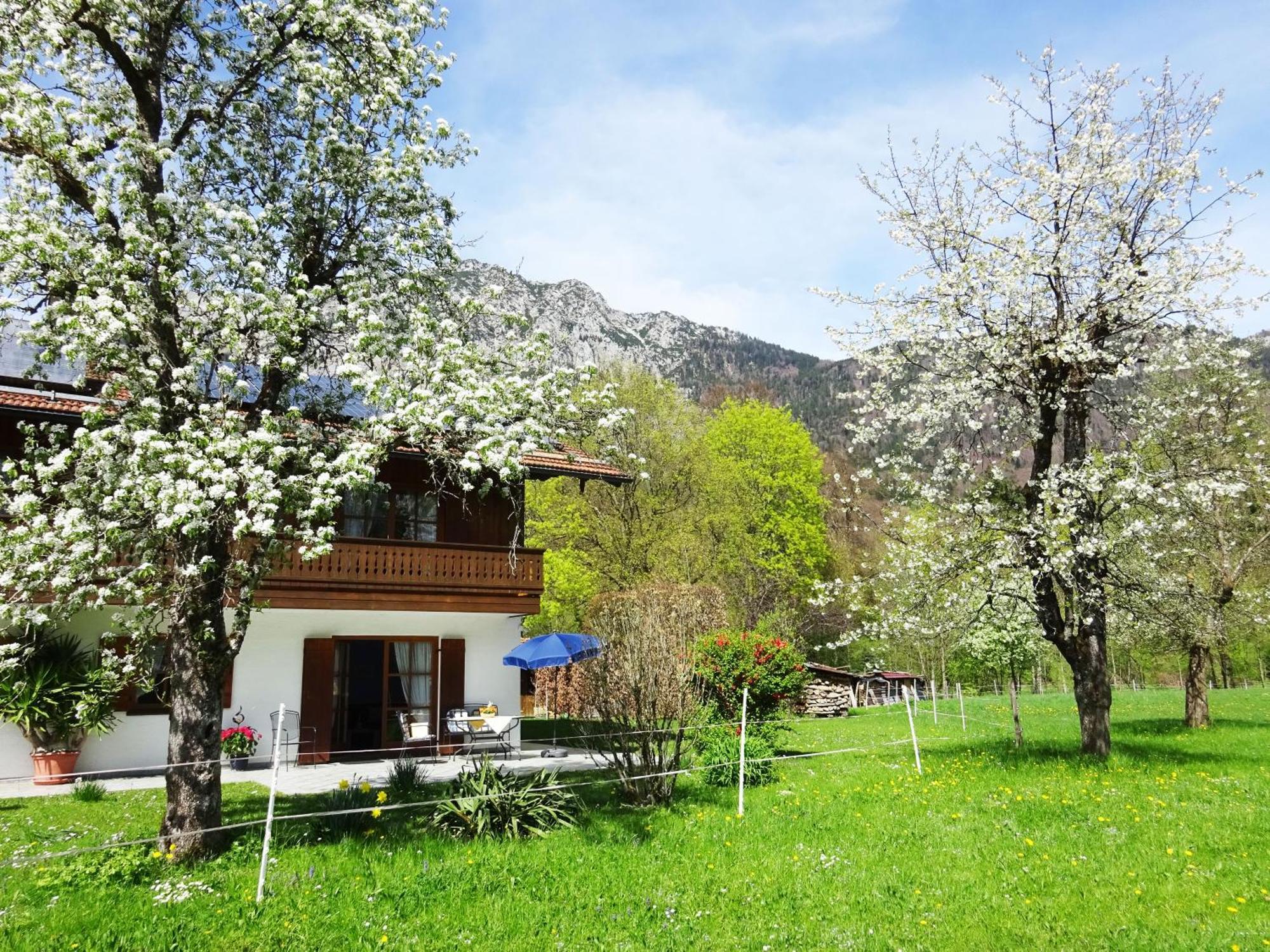 Ferienwohnungen Auhaus Бад-Райхенхалль Экстерьер фото